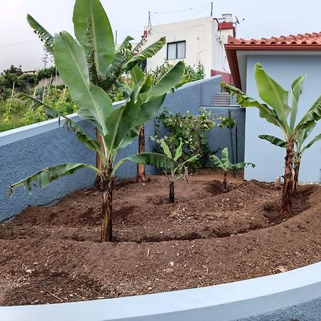 Calheta Paradise Holiday Home Arco da Calheta  Extérieur photo