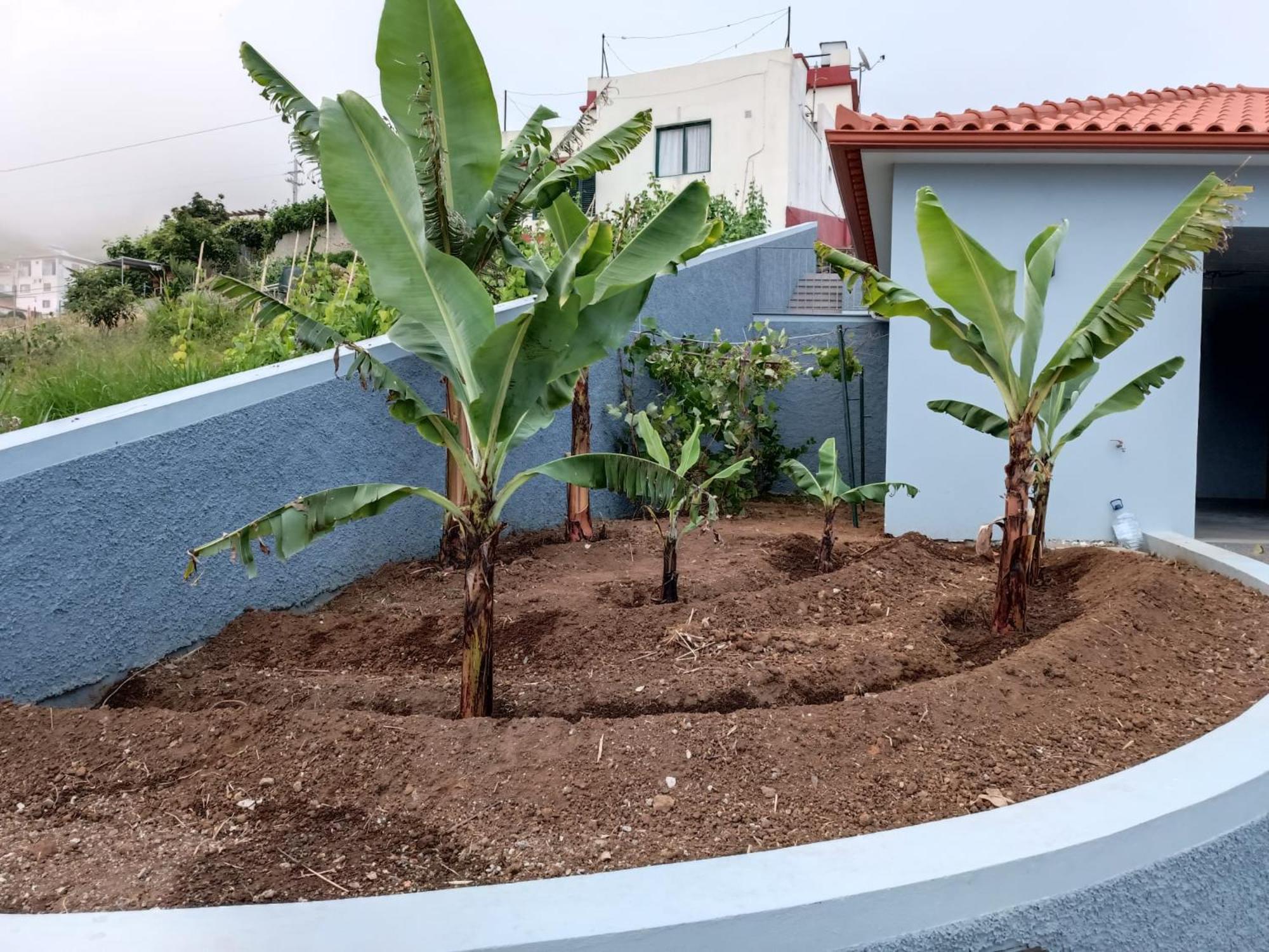 Calheta Paradise Holiday Home Arco da Calheta  Extérieur photo